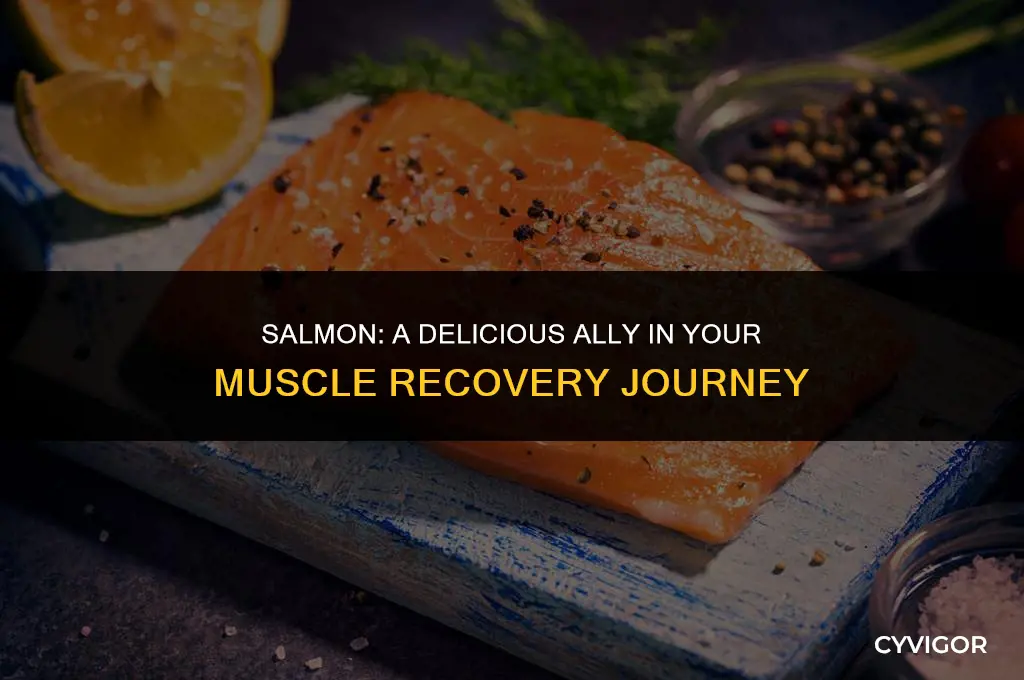 is salmon good for muscle recovery