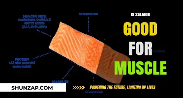 Salmon: A Delicious Ally in Your Muscle-Building Journey
