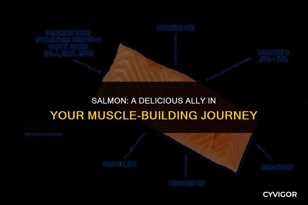 is salmon good for muscle