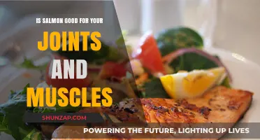 Salmon's Nutritional Benefits: Supporting Joint and Muscle Health