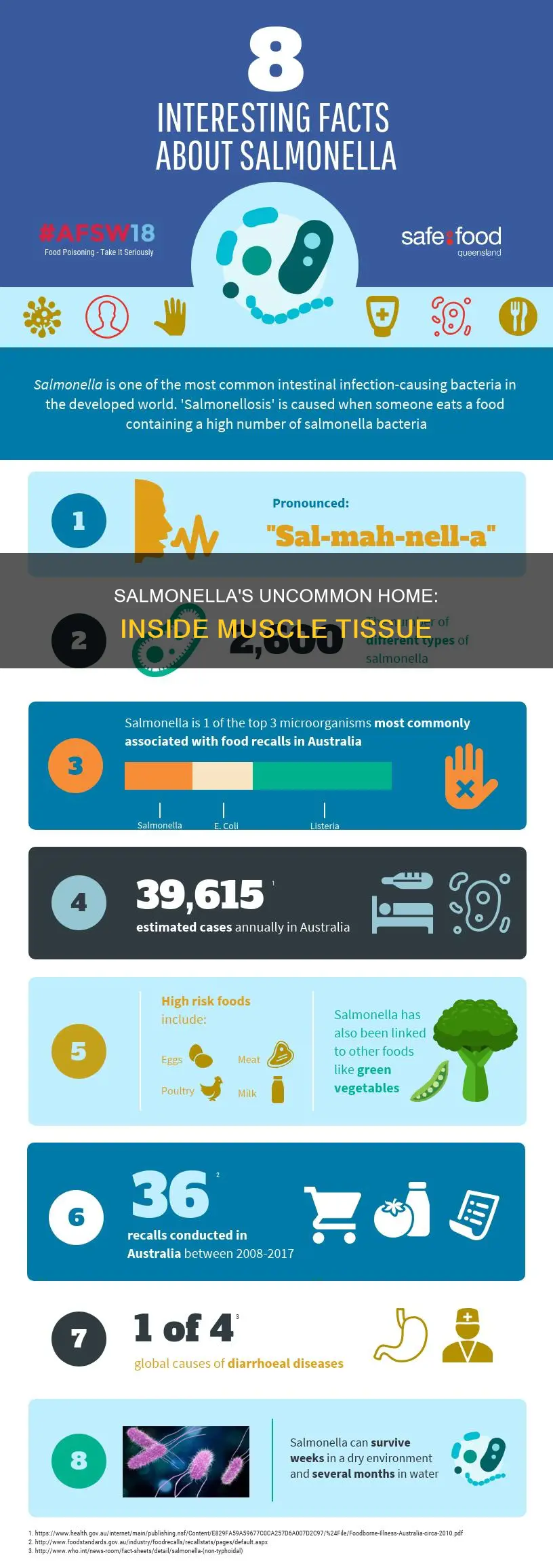 is salmonella in muscle