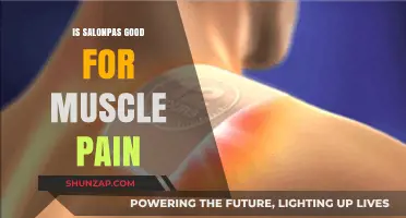 Salonpas for Muscle Pain: Effective Relief or Just a Temporary Fix?