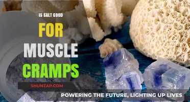 Salt and Muscle Cramps: Debunking Myths for Better Recovery