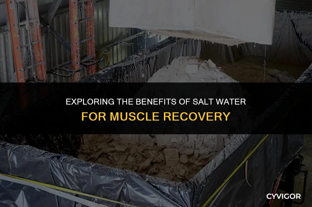 is salt water good for muscle recovery