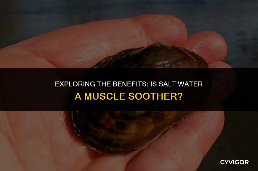 is salt water good for muscles