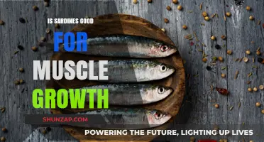 Sardines: The Secret Weapon for Muscle Growth?