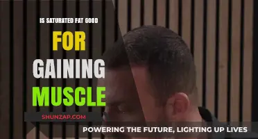Saturated Fat and Muscle Gain: Separating Fact from Fiction