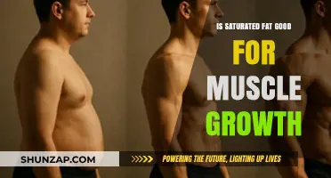 Unveiling the Truth: Saturated Fat's Role in Muscle Growth