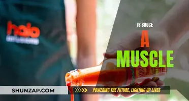 Sauce: A Muscle or Just a Condiment?