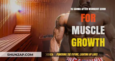 Unveiling the Truth: Sauna Sessions Post-Workout for Muscle Growth