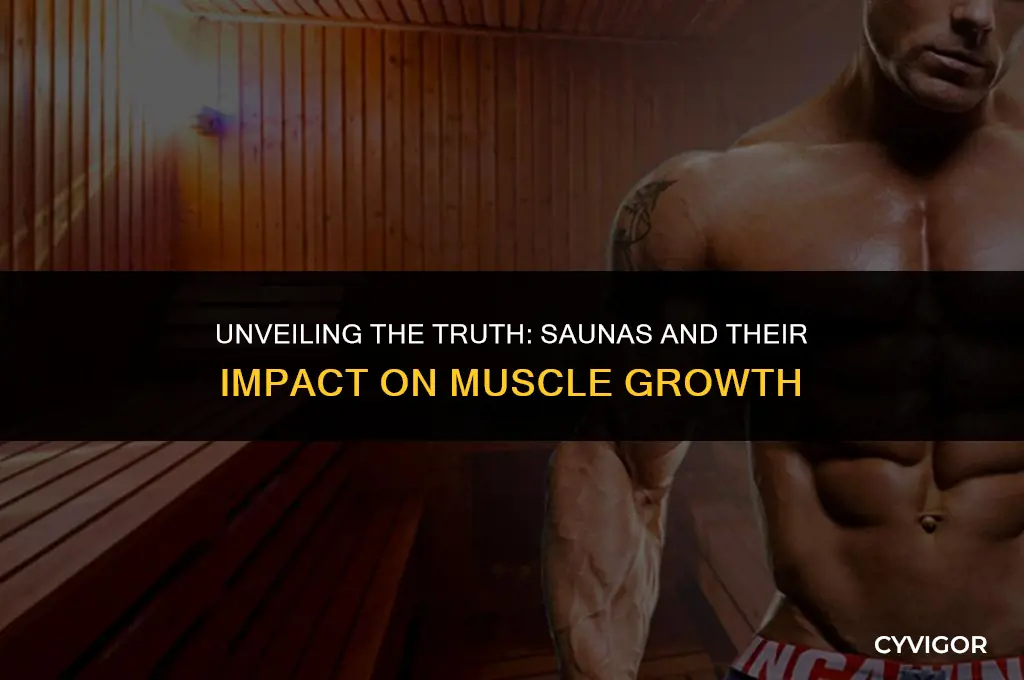 is sauna good for muscle growth