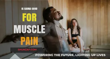 Sauna Therapy: Effective Relief for Muscle Pain and Recovery?