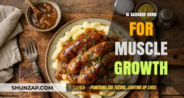 Sausage and Muscle Growth: A Tasty Path to Fitness?