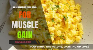 Scrambled Eggs for Muscle Gain: A Protein-Packed Breakfast Boost?