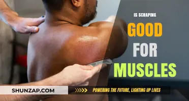 Is Scraping Good for Muscles? A Comprehensive Guide to Muscle Recovery Techniques