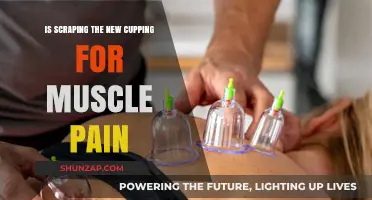 Scraping vs. Cupping: Which Therapy Relieves Muscle Pain Better?