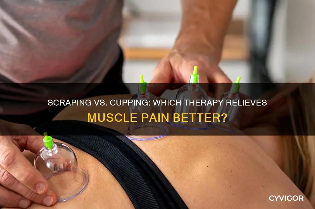 is scraping the new cupping for muscle pain