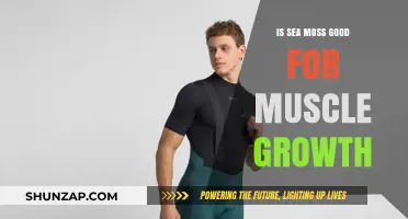 Unlocking the Potential: Sea Moss and Muscle Growth Explained