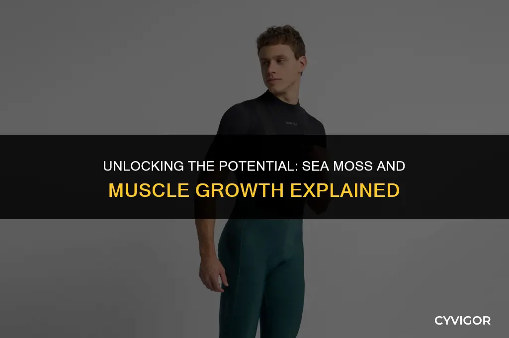 is sea moss good for muscle growth