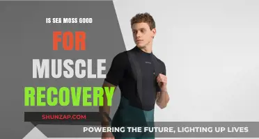 Unlocking the Power of Sea Moss for Optimal Muscle Recovery