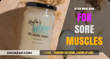 Sea Moss Benefits: Can It Soothe and Heal Sore Muscles?