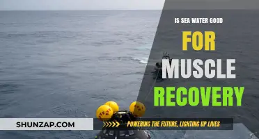 Ocean's Elixir: Can Sea Water Soothe Sore Muscles?
