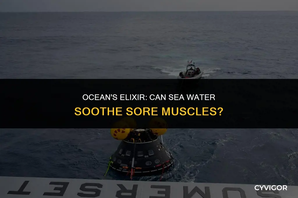 is sea water good for muscle recovery