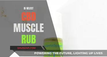 CBD Muscle Rub: Select's Effective Solution