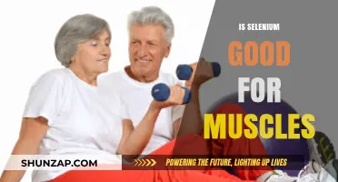 Unleashing Strength: The Surprising Benefits of Selenium for Muscle Health