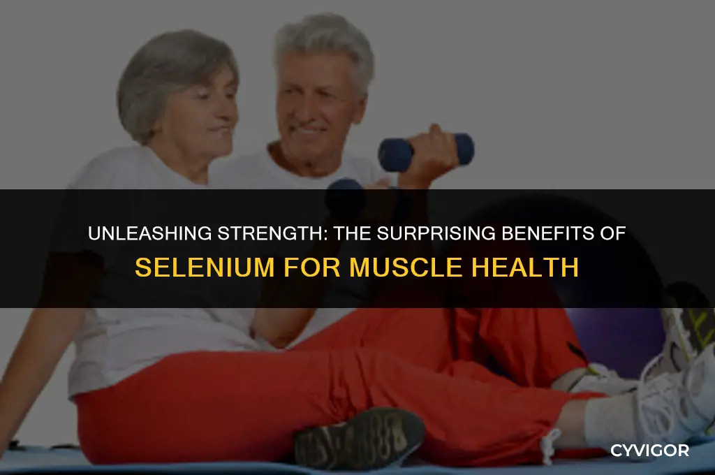 is selenium good for muscles