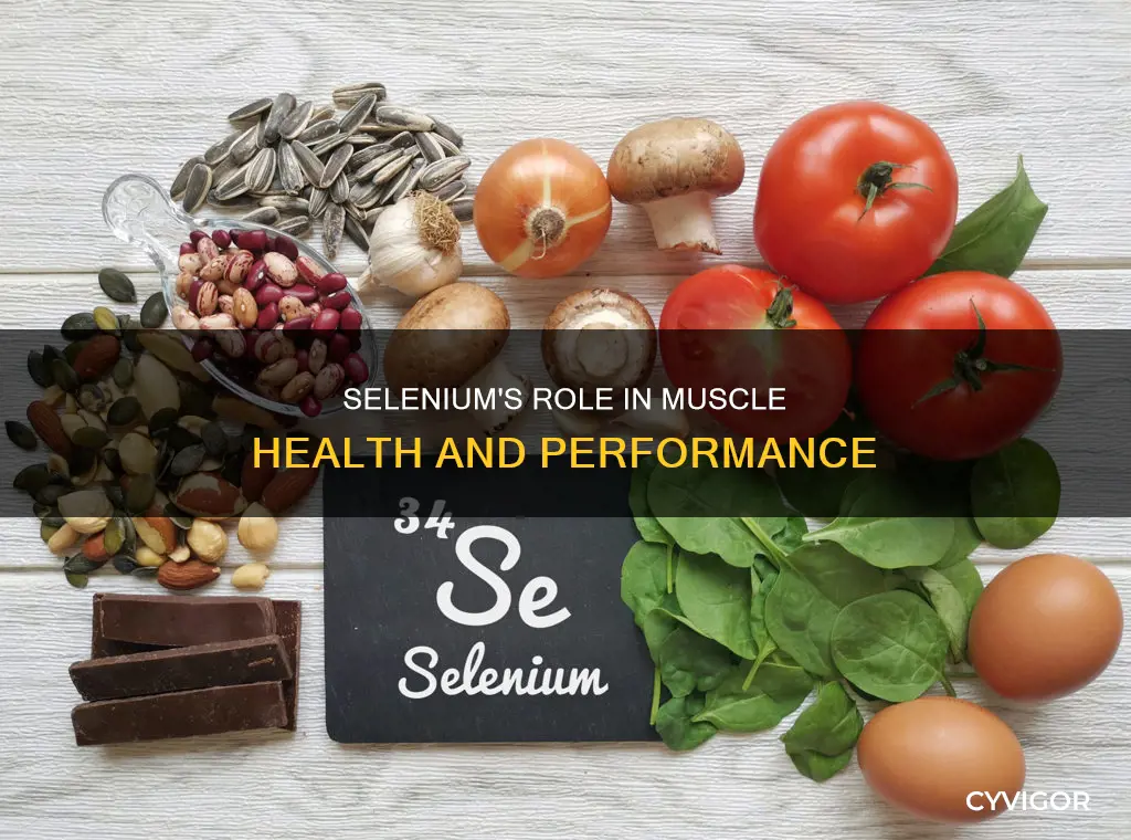 is selenium in muscles