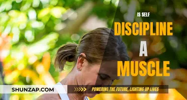 Self-Discipline: A Muscle to Strengthen Your Willpower