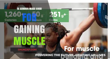 Is Serious Mass Effective for Muscle Gain? A Comprehensive Review