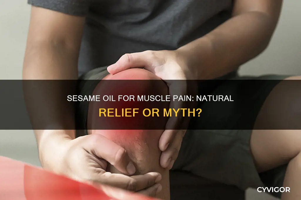 is sesame oil good for muscle pain