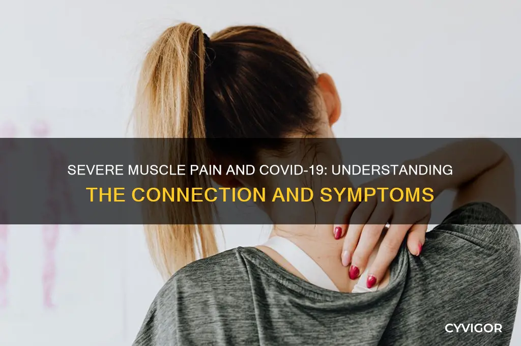 is severe muscle pain a symptom of covid