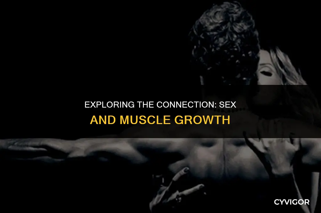 is sex good for muscle growth