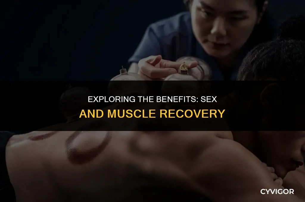 is sex good for muscle recovery