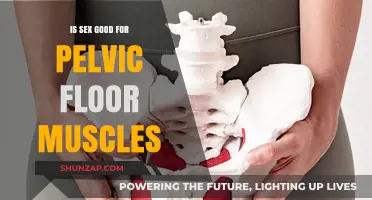 Exploring the Benefits: Sex and Pelvic Floor Muscle Health