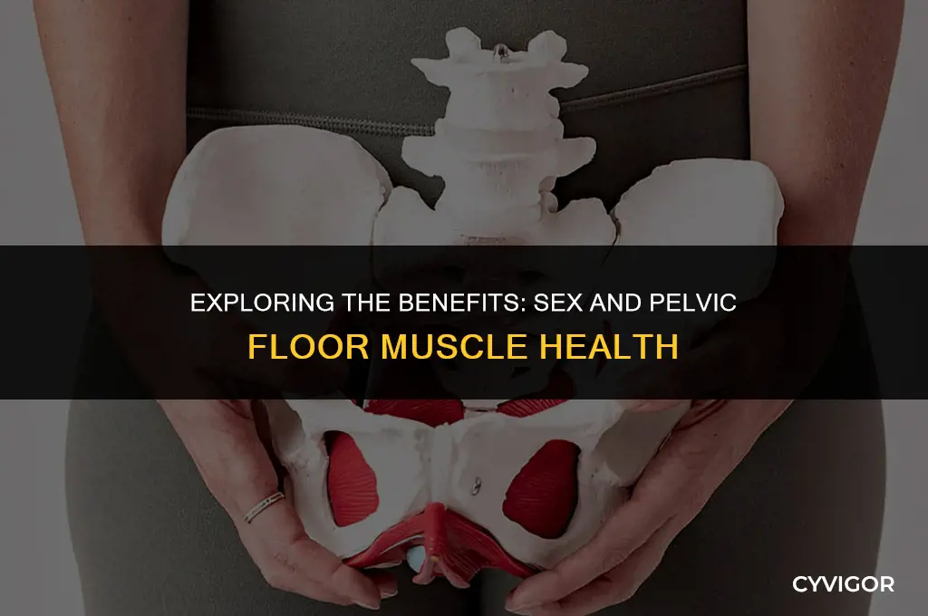 is sex good for pelvic floor muscles