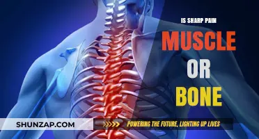 Sharp Pain: Muscle Strain or Bone Injury? Understanding the Difference