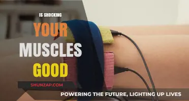 Electrifying Your Workout: The Surprising Benefits of Muscle Shock