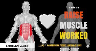 Side Leg Raise: Targeted Muscles and Effective Workout Benefits