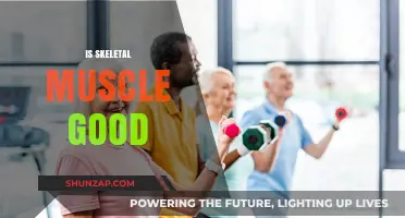 Exploring the Benefits: Is Skeletal Muscle Good for Your Health?