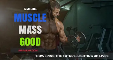 Building Strength: The Benefits of Skeletal Muscle Mass