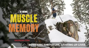 How Skiing Becomes Muscle Memory