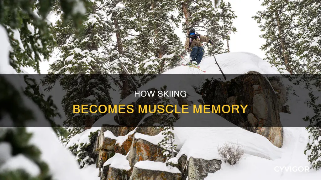 is skiing muscle memory