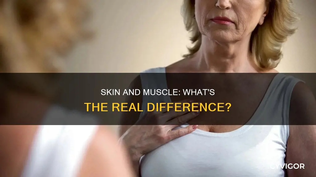 is skin a muscle