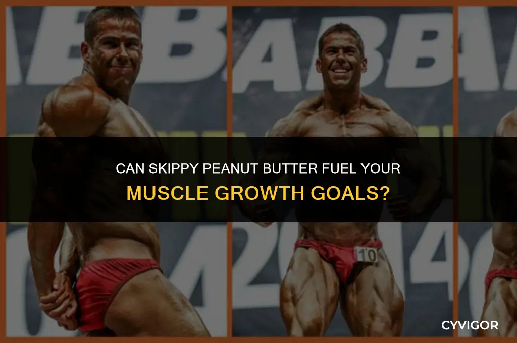 is skippy peanut butter good for muscle growth