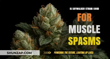 Exploring Skywalker Strain: A Potential Remedy for Muscle Spasms