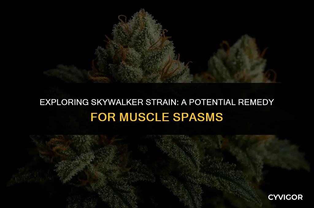 is skywalker strain good for muscle spasms
